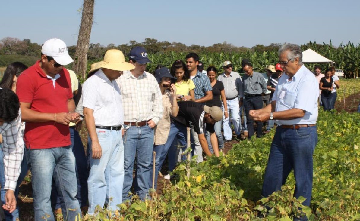 Empaer realiza 94 mil atendimentos e viabiliza R$ 82 milhões em projetos de crédito para agricultura familiar