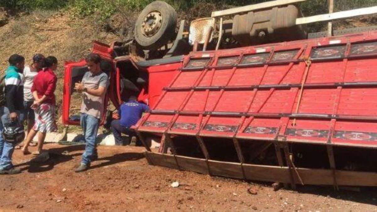 Mato Grosso | Caminhão boiadeiro tomba e bezerros morrem em estrada