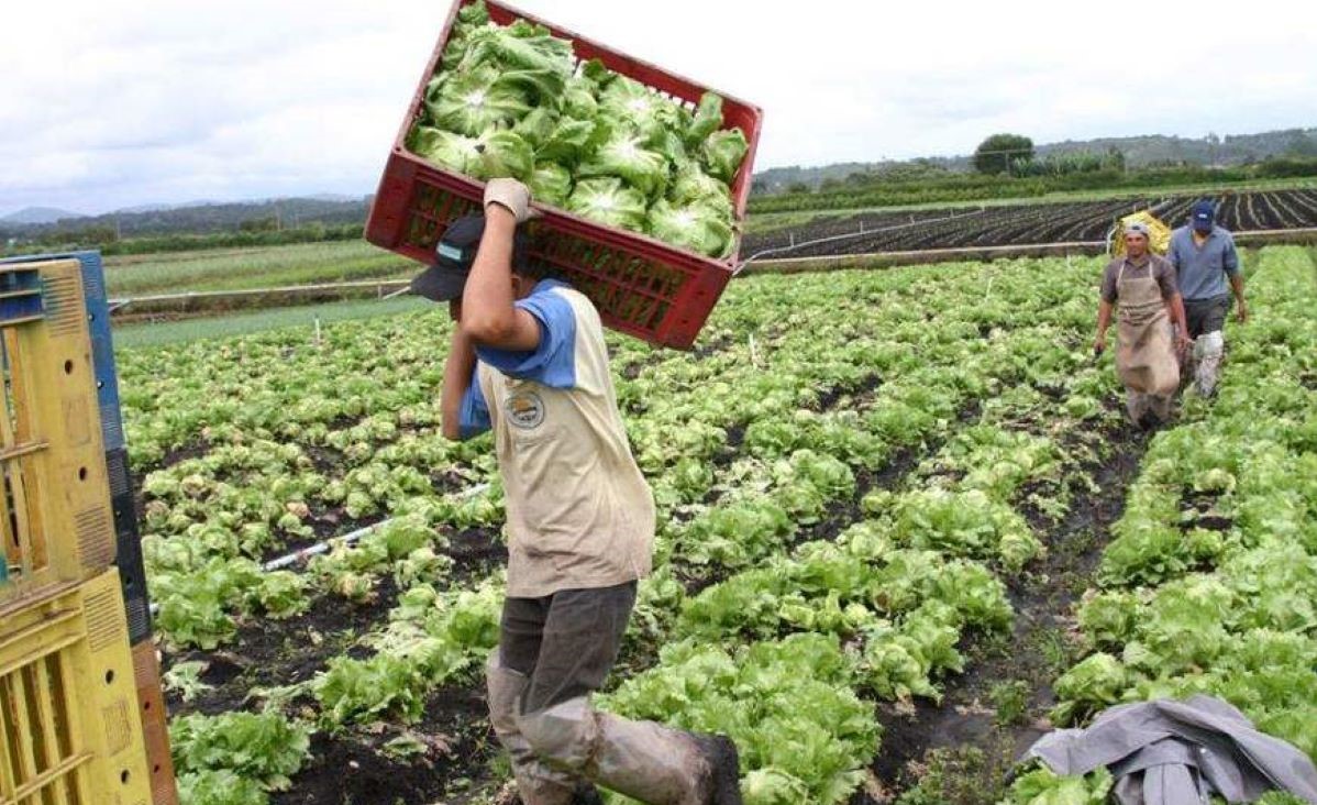 Projeto cria linha de crédito para pequenos e médios produtores rurais