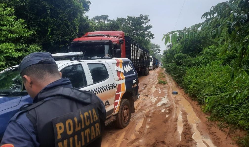 Operação conjunta prende cinco suspeitos e recupera 115 bois roubados em fazenda de Confresa