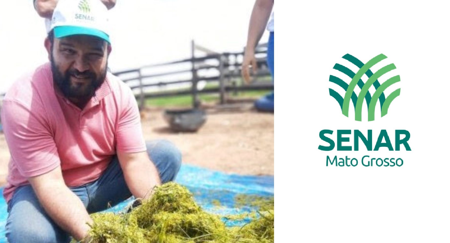 Senar-MT | Atendidos pela ATeG recebem capacitação sobre capineiras