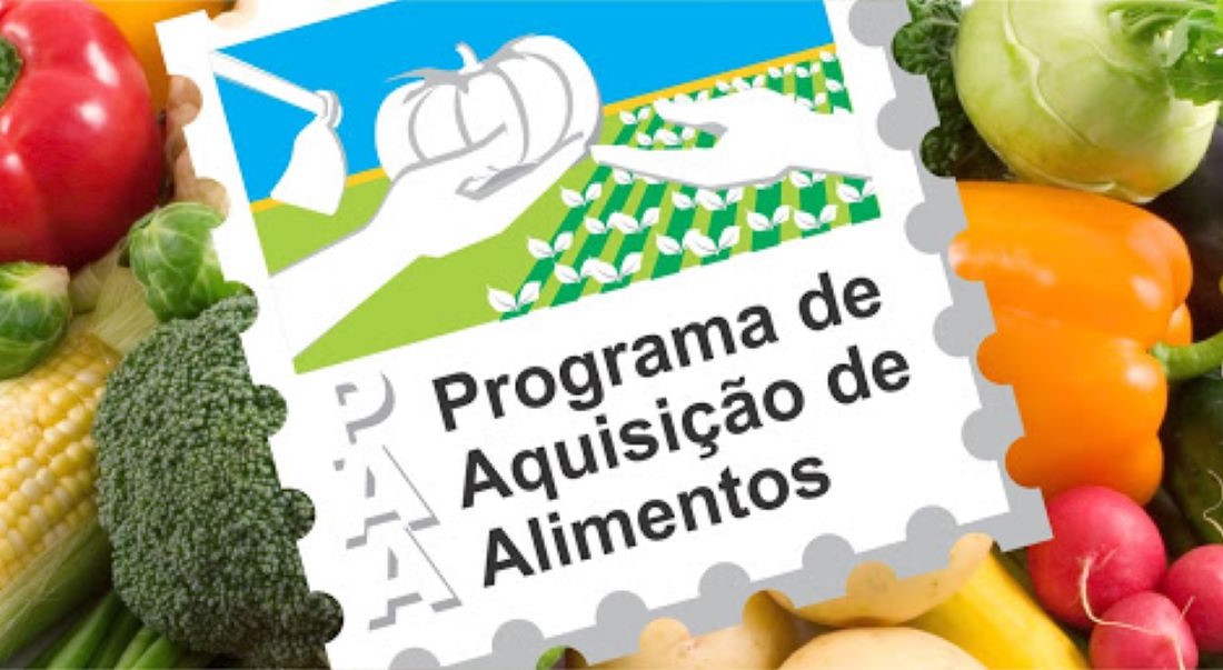 Mato Grosso | Hortifrutis e polpas de frutas são comercializados pelo PAA