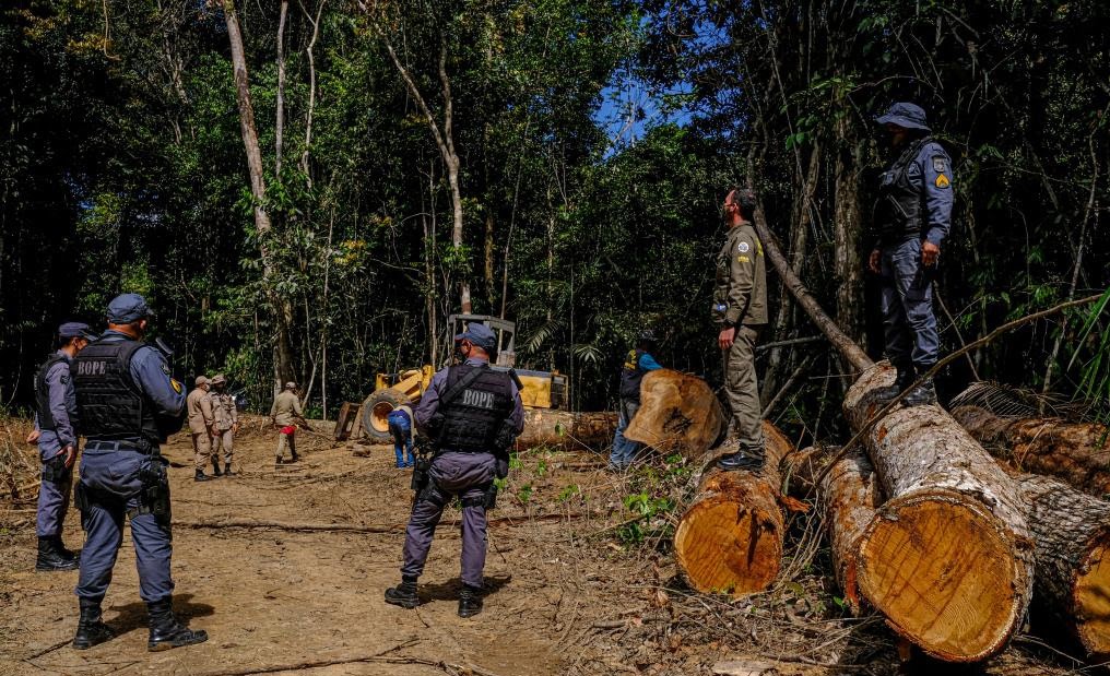 Mato Grosso | Sema lança plataforma de acesso público aos alertas de desmatamento