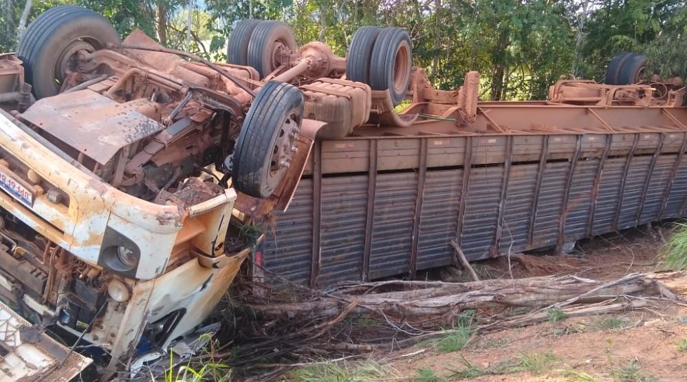 Mato Grosso | Carreta carregada com bois tomba na BR-158