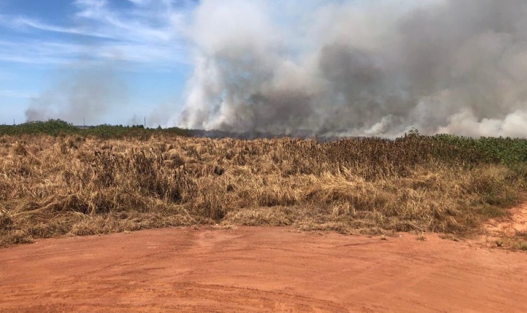 Sorriso | Corpo de Bombeiros contém incêndio em vegetação próximo a empresas
