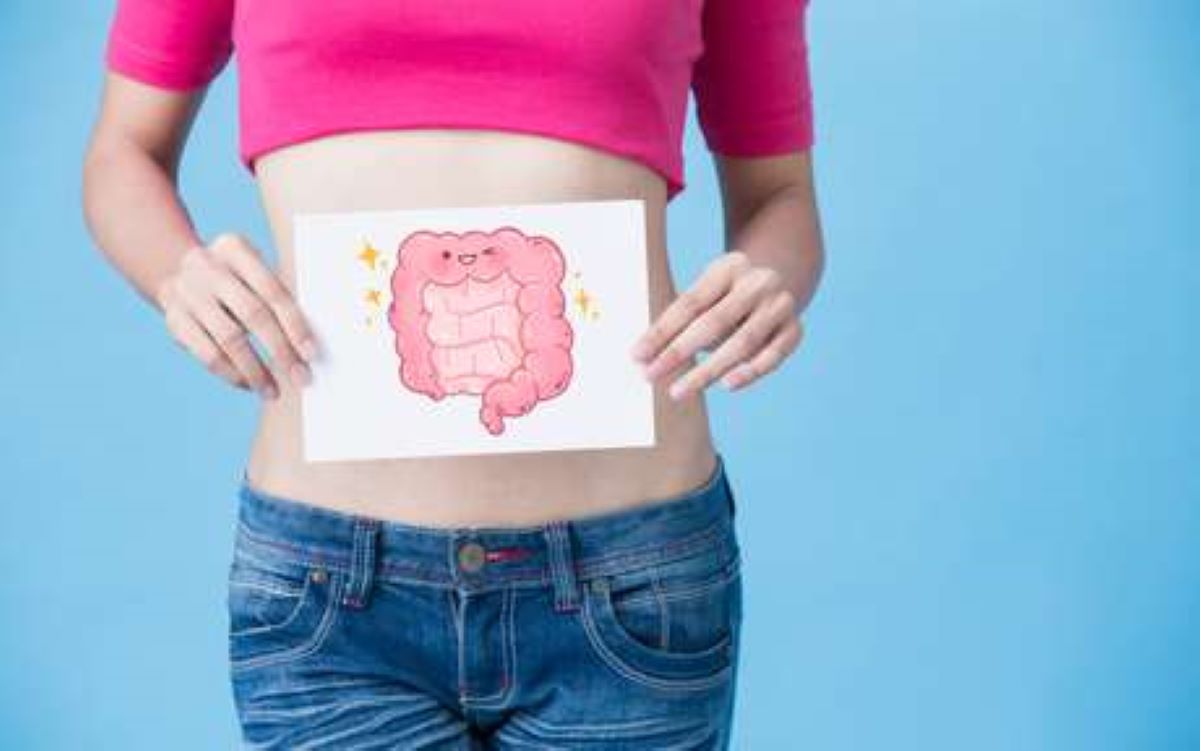 Proteger o intestino é manter o sistema imunológico equilibrado