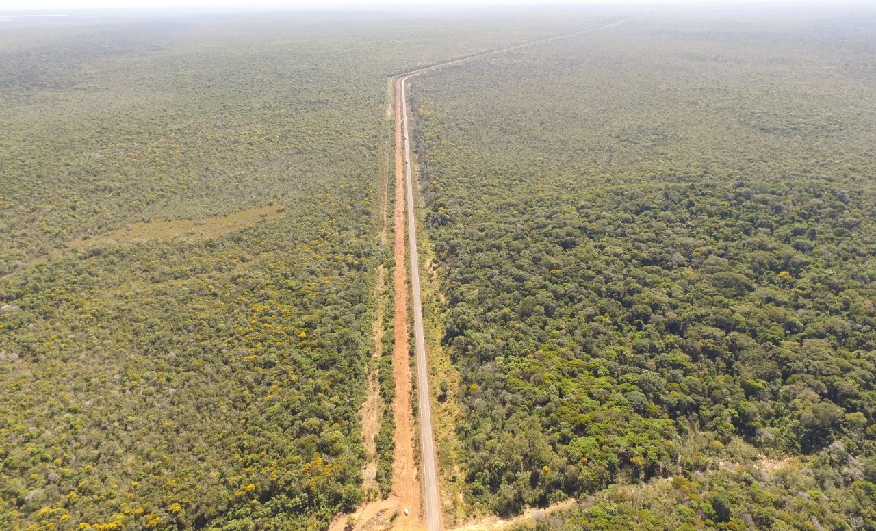 Mato Grosso | Proprietária toma posse de imóvel rural de R$1 bi após 20 anos