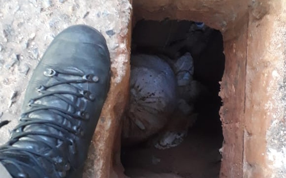 Policiais encontram buraco em cela na penitenciária de Sinop