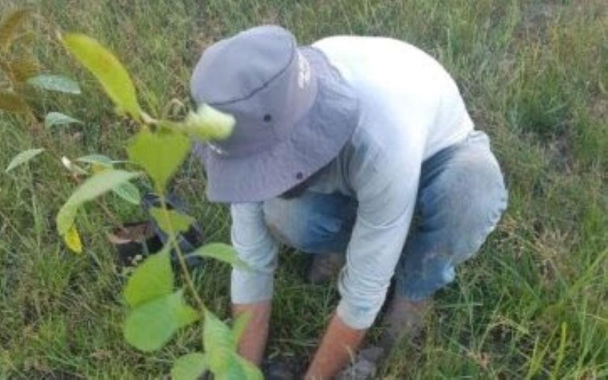 Projeto do Senar-MT auxilia produtores de Vila Rica a recuperarem áreas degradadas