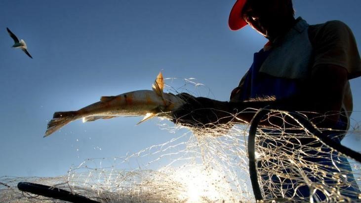 Ampliado o acesso dos pescadores aos direitos previdenciários