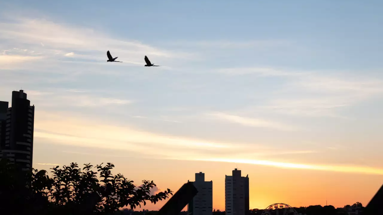 Tempo seco predomina nesta terça-feira no Brasil
