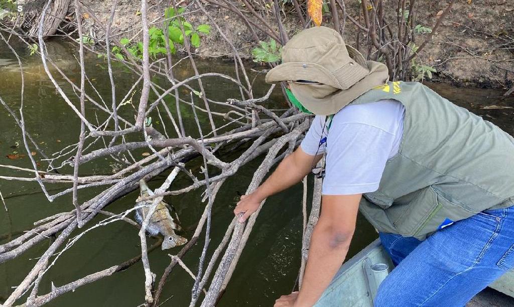 Sema-MT vistoria Rio Aripuanã após denúncia de mortandade de peixes