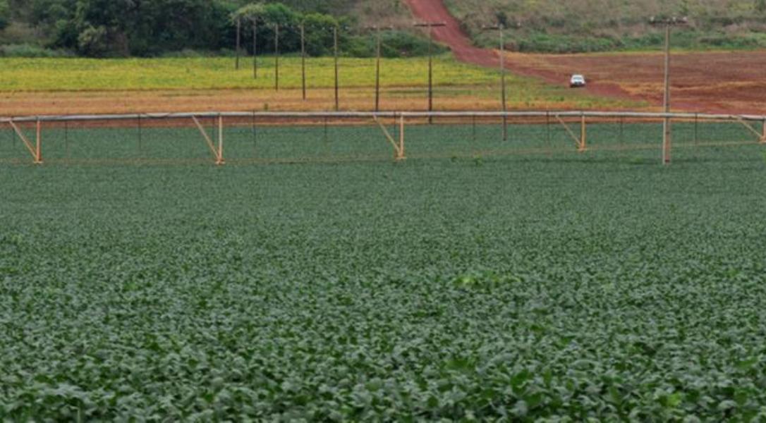 Aprovado projeto que amplia prazo para registro de imóveis rurais na fronteira
