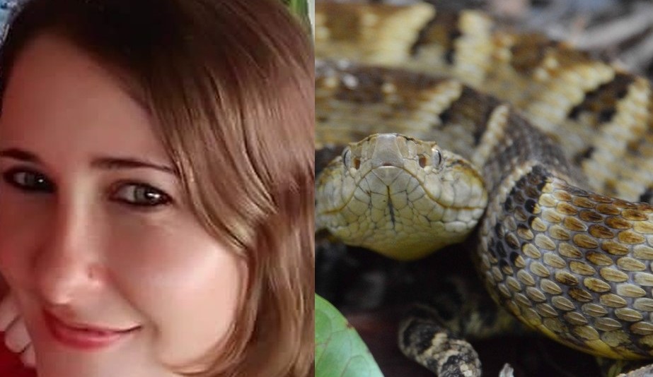 Mato Grosso | Jovem de 29 anos morre após ser picada por jararaca em casa