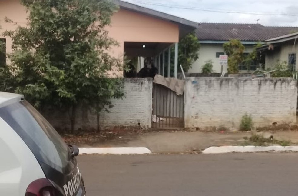 Sorriso | Cachorro desenterra corpo de bebê de 4 meses morto no quintal de casa