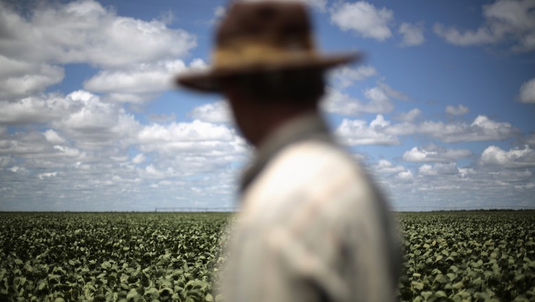 BNDES reabre protocolo de operações  nos Programas Agropecuários do Governo FederaL