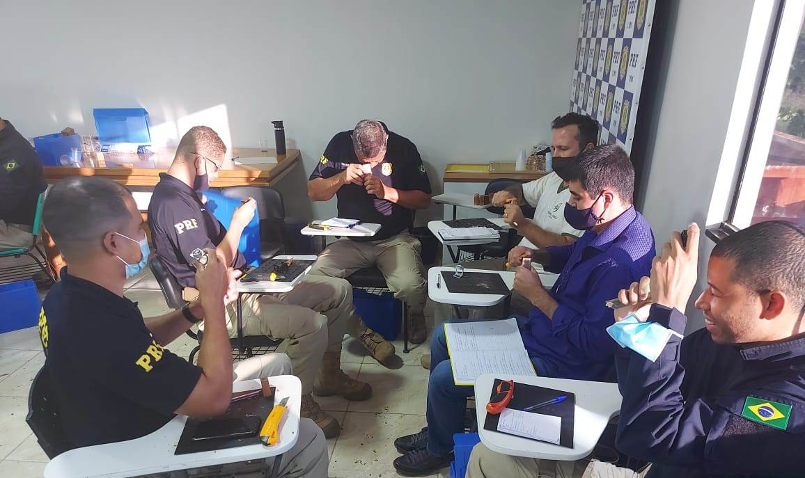 Três servidores do Indea/MT ministram curso de identificação macroscópica de madeira em Rondônia