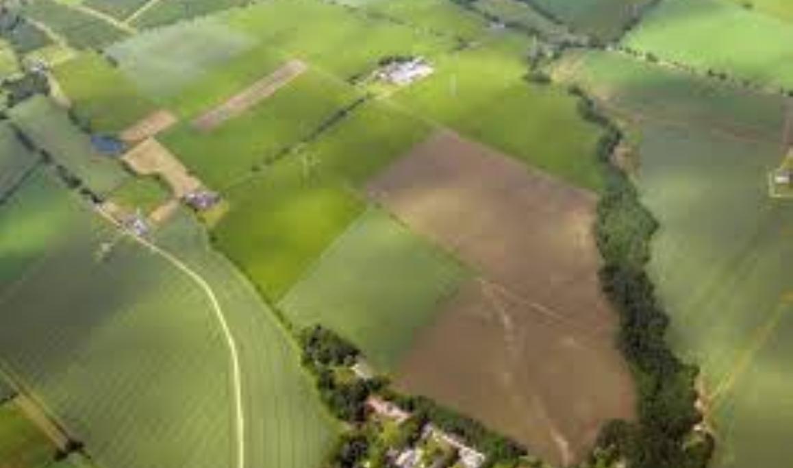 Com novos contratos, CONSERV soma 8.410 hectares protegidos