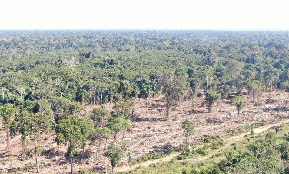 Sema realiza operação de combate ao desmatamento ilegal e aplica R$ 3,7 milhões em multas