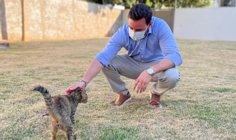Deputado percorre ONGs animais para apresentar o projeto disque-denúncia animal