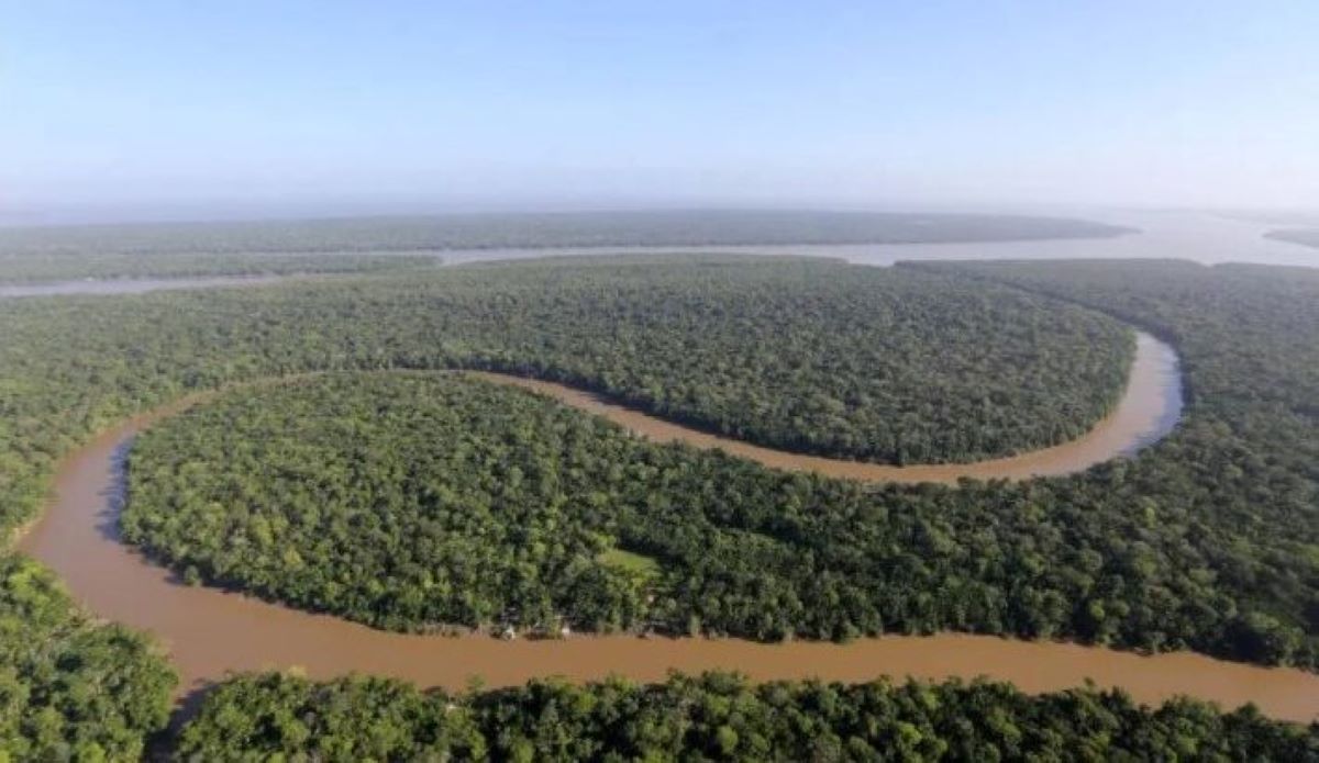 Pesquisa aponta que brasileiros não confiam no Estado para proteger a Amazônia