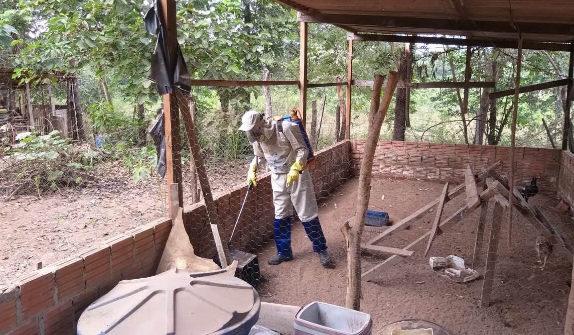 Nova Galiléia | UVZ realiza controle químico para combate de Chagas