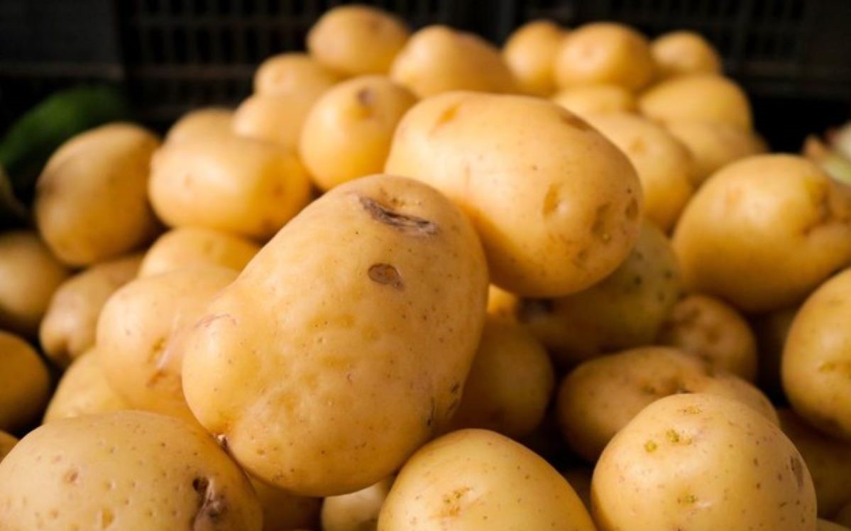 Mato Grosso | Banana, batata, tomate e outros hortifrúti têm queda de até 50% nos preços