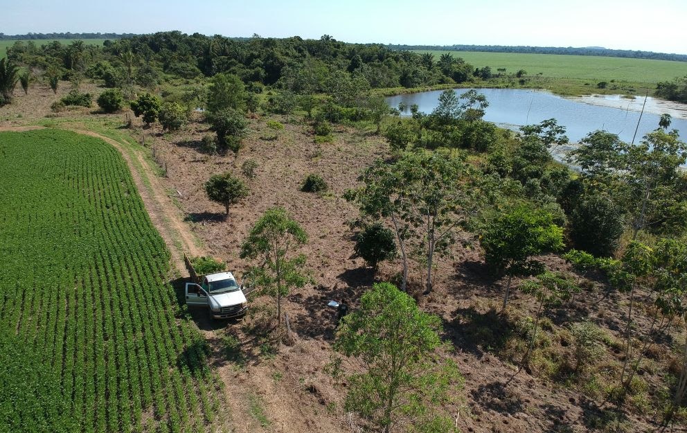 Movida trabalha no reflorestamento do Corredor de Biodiversidade do Araguaia