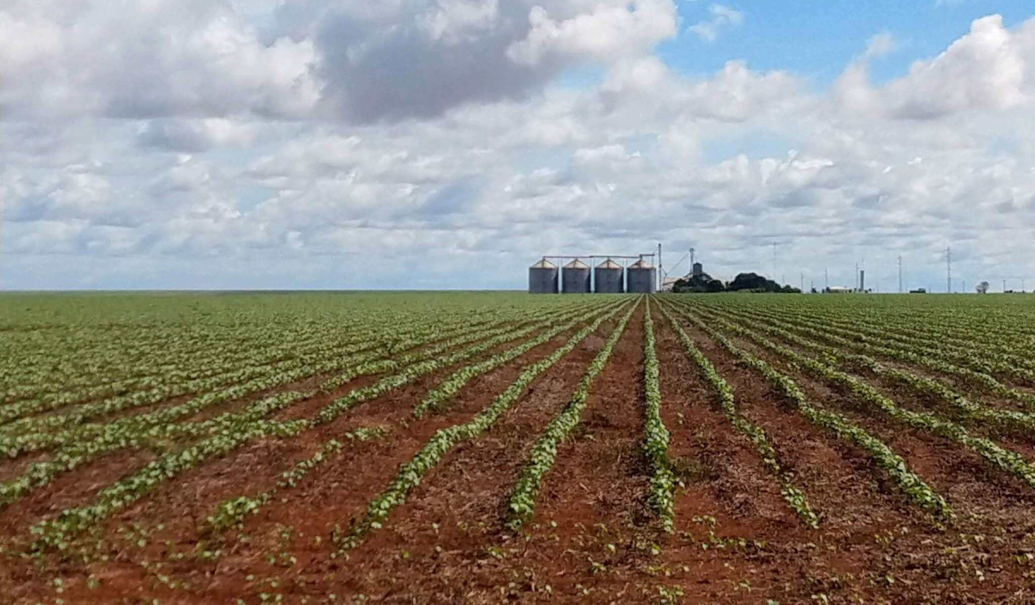 Intensificação do uso do solo pode duplicar produção agropecuária e é fundamental para a continuidade do setor