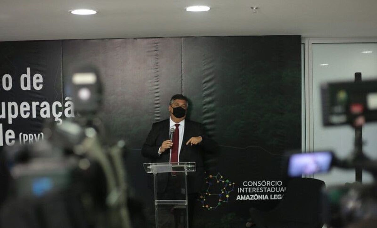 Governadores da Amazônia Legal lançam Plano de Recuperação Verde