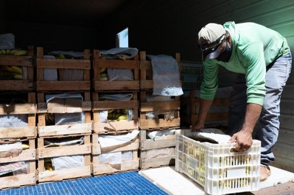 Governo Federal apoia pequenos produtores e amplia programas de agricultura familiar