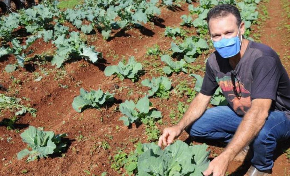 Senado aprova medidas emergenciais para agricultura familiar em razão da covid-19