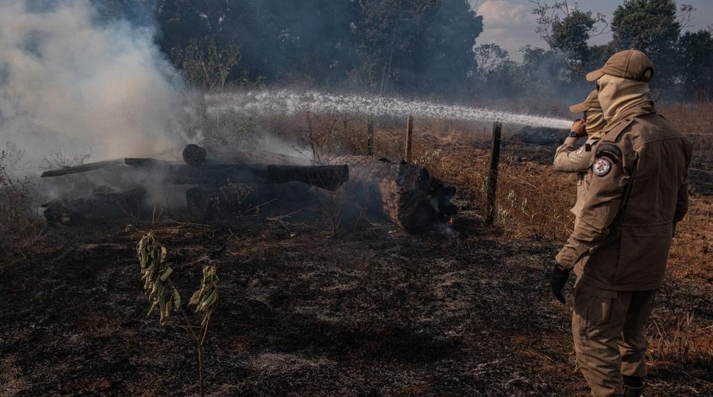 Bombeiros tentam combater incêndio que já dura mais de 24 horas na região da Transpantaneira em Poconé