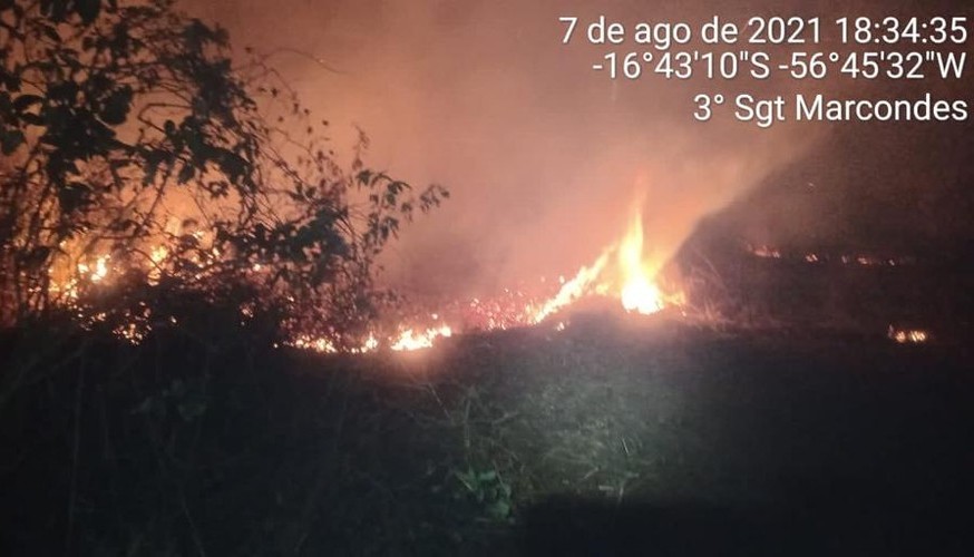 Queimada no Pantanal destrói quase mil hectares em dois dias, diz instituto