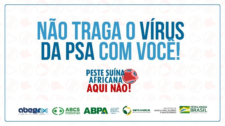 Campanha para evitar Peste Suína Africana no país ganha reforço nas redes sociais