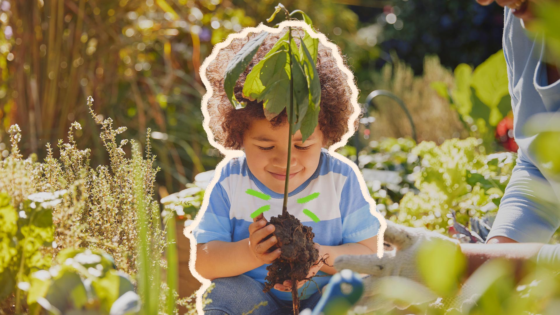 Curso EAD de TiNis incentiva o plantio nas escolas para nutrir o vínculo entre a criança e a Natureza