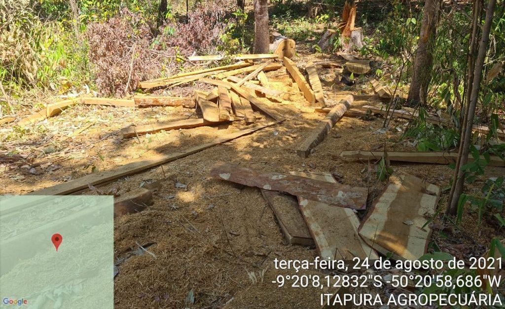Mato Grosso | Justiça determina reintegração de posse em área invadida para desmatamento ilegal