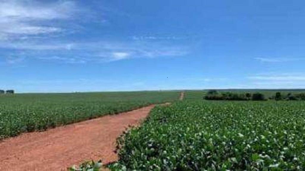 Mato Grosso | Sesp promove leilão de fazenda e imóveis apreendidos em ações de combate ao crime