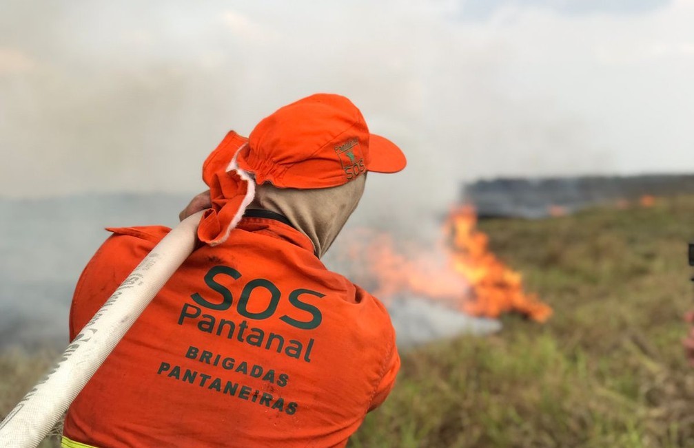 Mato Grosso | Incêndio atinge pelo 2° ano maior refúgio de onças-pintadas do mundo