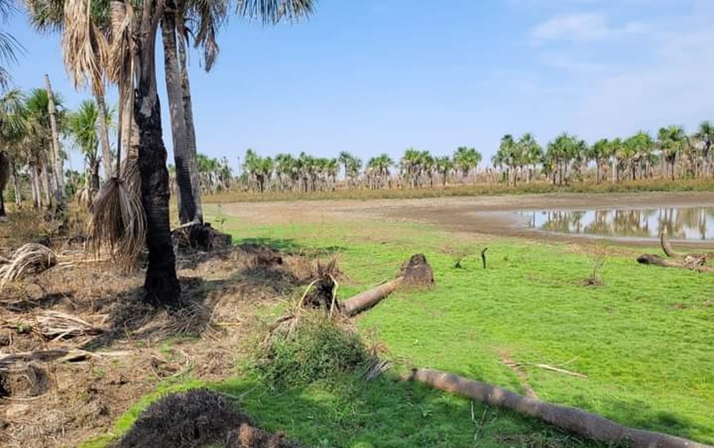 Mato Grosso | Nascentes do Rio Paraguai secam e moradores temem falta d’água