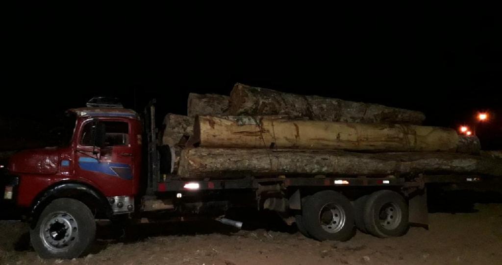 Batalhão Ambiental prende motoristas e apreende madeira ilegal em Marcelândia