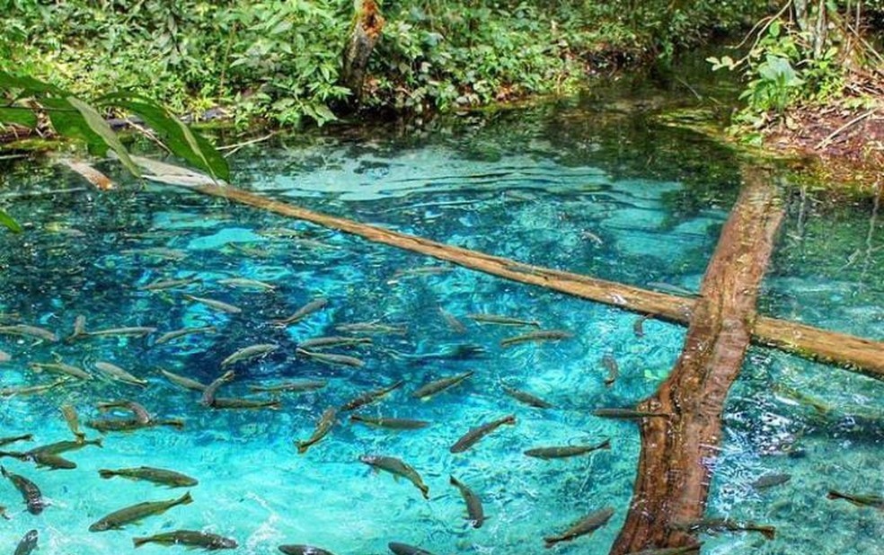 Turismo volta a apresentar bons resultados em Mato Grosso