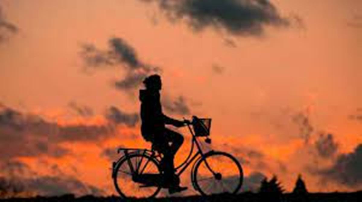 Cientistas pedalam 400 km pela conservação do Cerrado