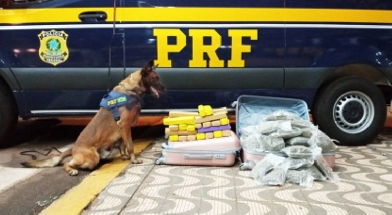 Rondonópolis | PRF prende jovem transportando maconha e skunk dentro de ônibus