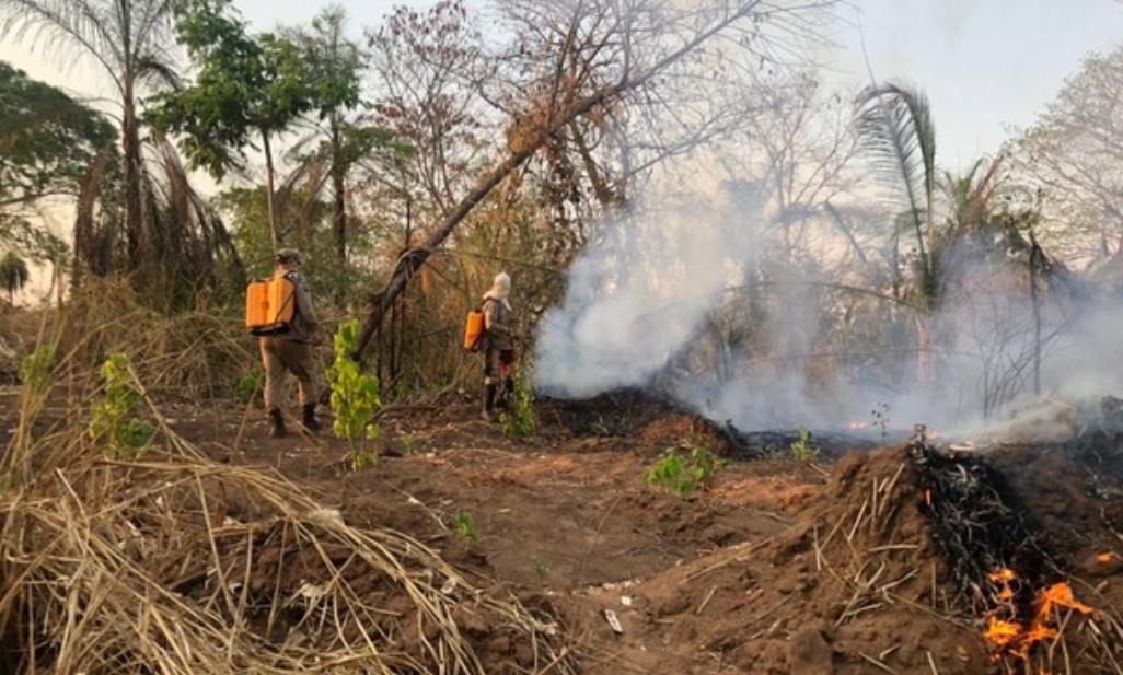 Rondonópolis | Reserva indígena é atingida por incêndio novamente em menos de um mês