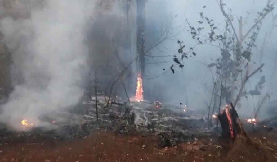 Prefeita decreta situação de emergência por causa da seca e incêndios florestais em Jaciara