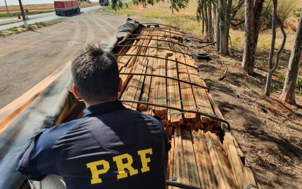 Mato Grosso | PRF apreende 34 metros cúbicos de madeira ilegal