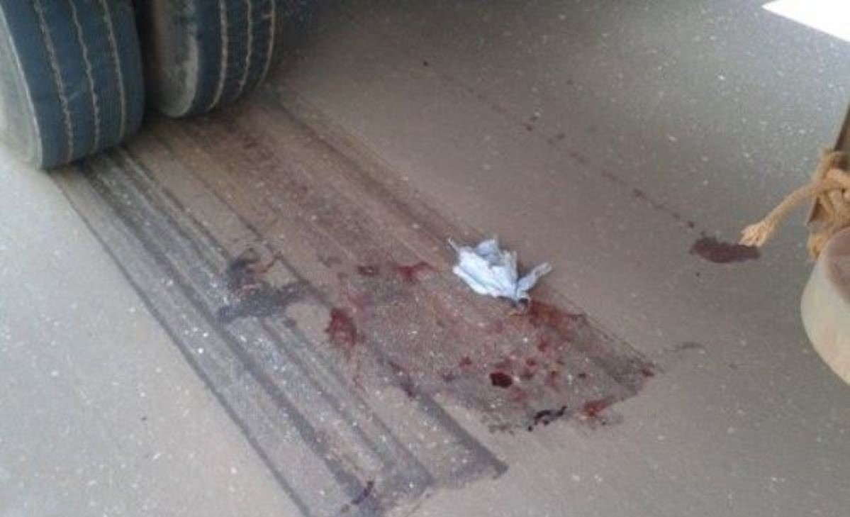 Sorriso | Menina de 7 anos morre atropelada por carreta