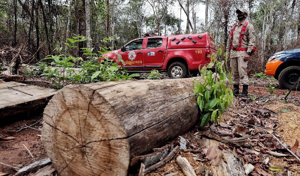 Corpo de Bombeiros deflagra operação para combater o desmatamento ilegal em seis municípios de Mato Grosso