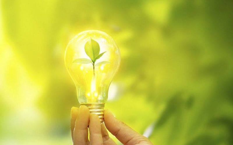 Economia verde: Como ter um negócio sustentável